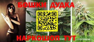прущие крисы Балаково