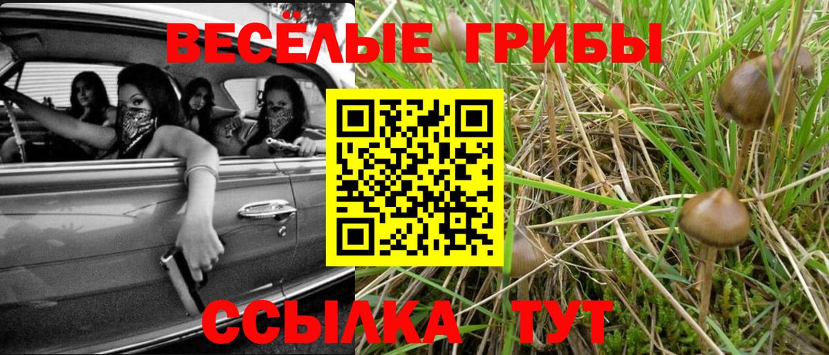 Гудермес  Псилоцибиновые грибы Magic Shrooms  Вход с VPN 