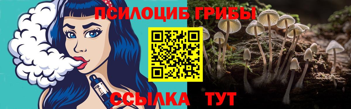 Галлюциногенные грибы ЛСД Гудермес